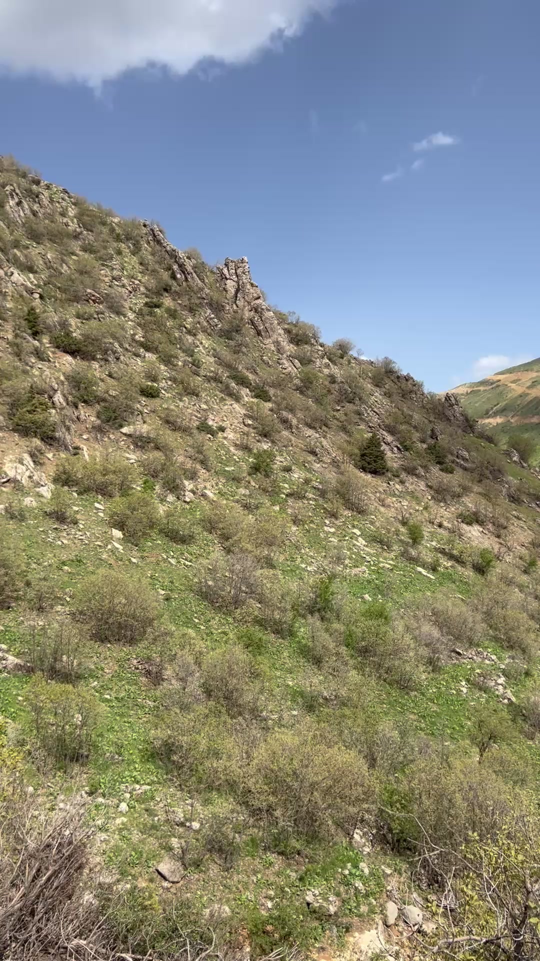 @heja_nheli25📸⛰️