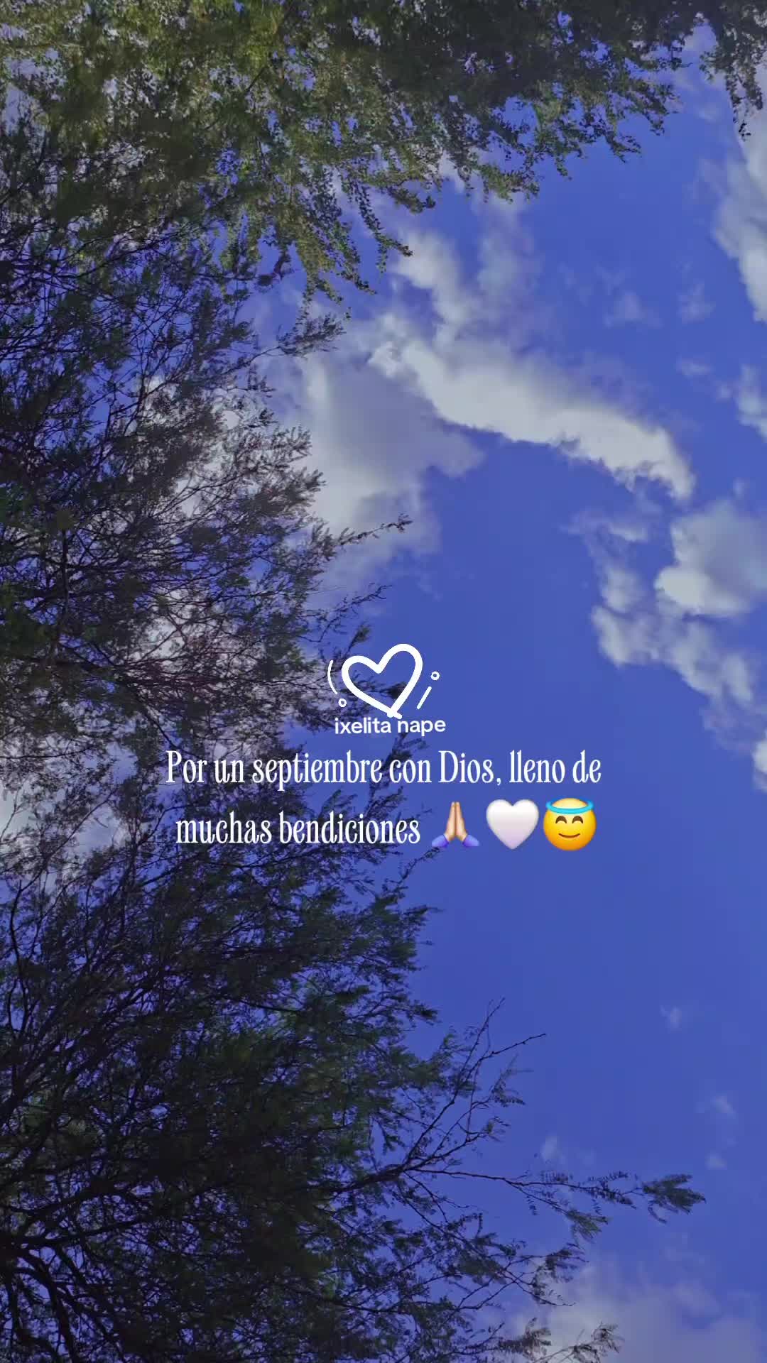 @❤️🩹✨️ I X E L I T A ✨️❤️🩹