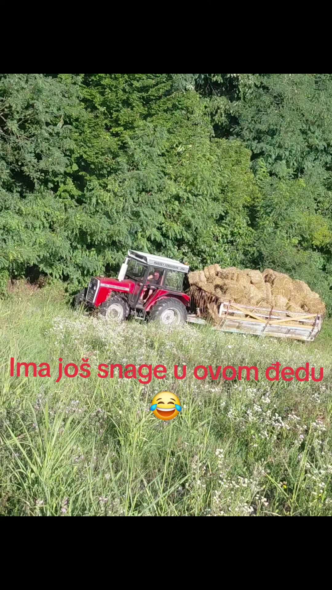 @Keša