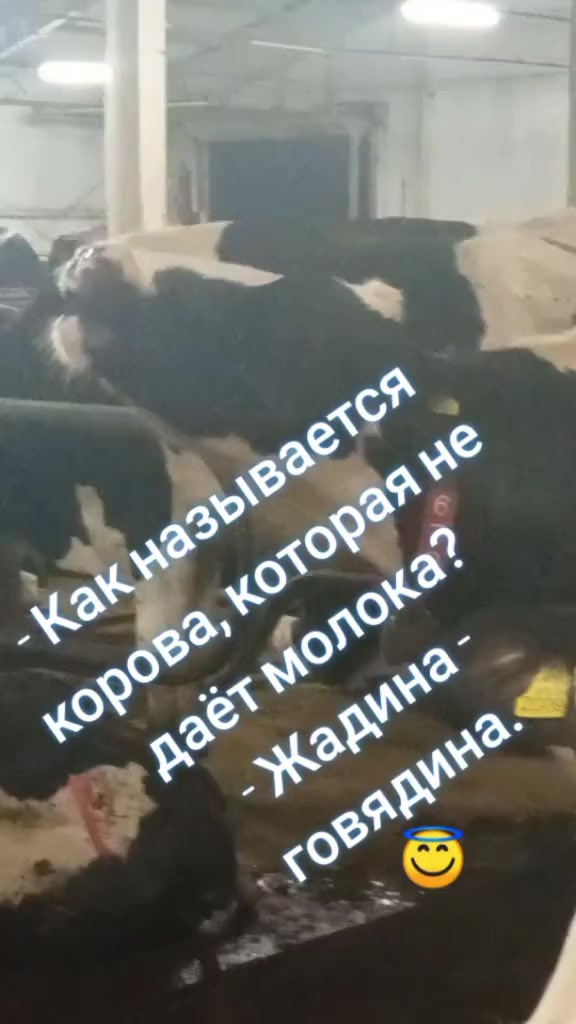 @Игорь