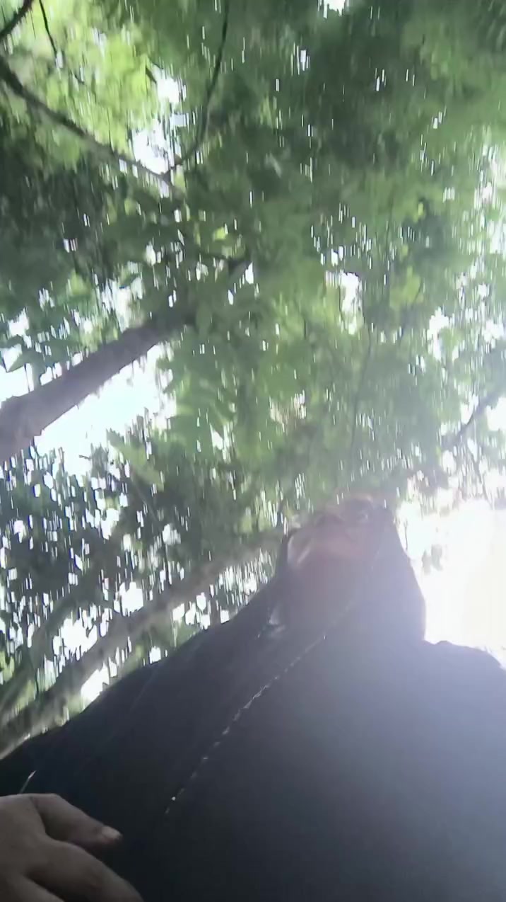@প্রবাস