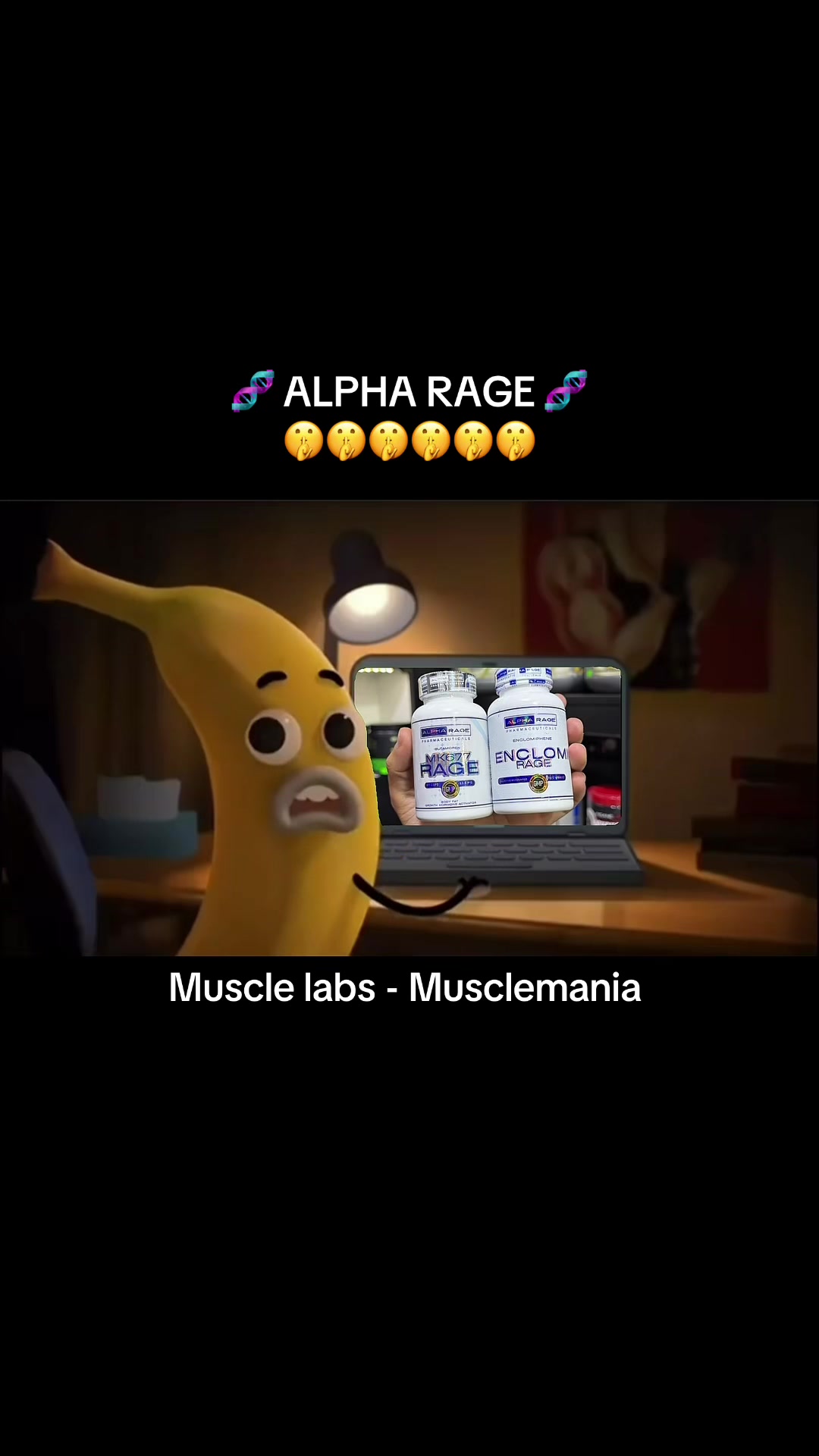 @Musclelab.peru