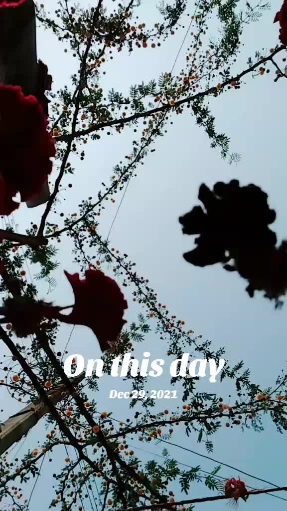 @Chandan Raj 13