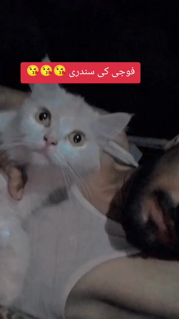@من جانباز 💪🇵🇰