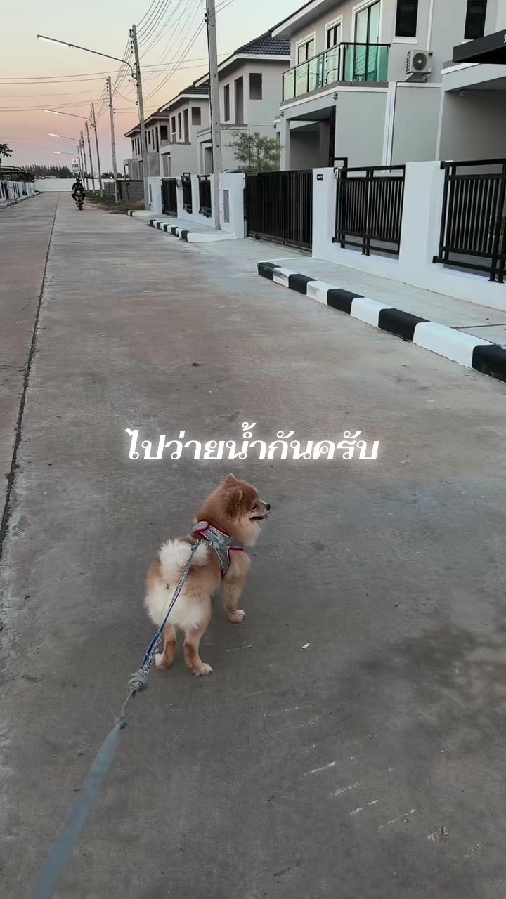 @มาดามเเอนนี่ คิ้วปิง 🇹🇭🇺🇸