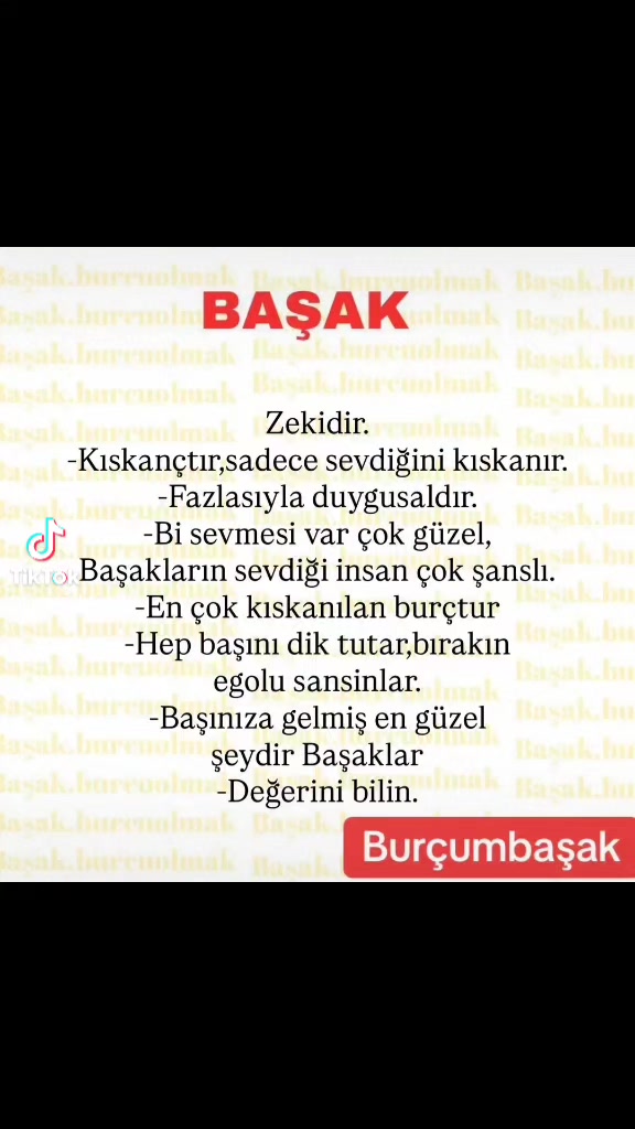 @angarali ayse