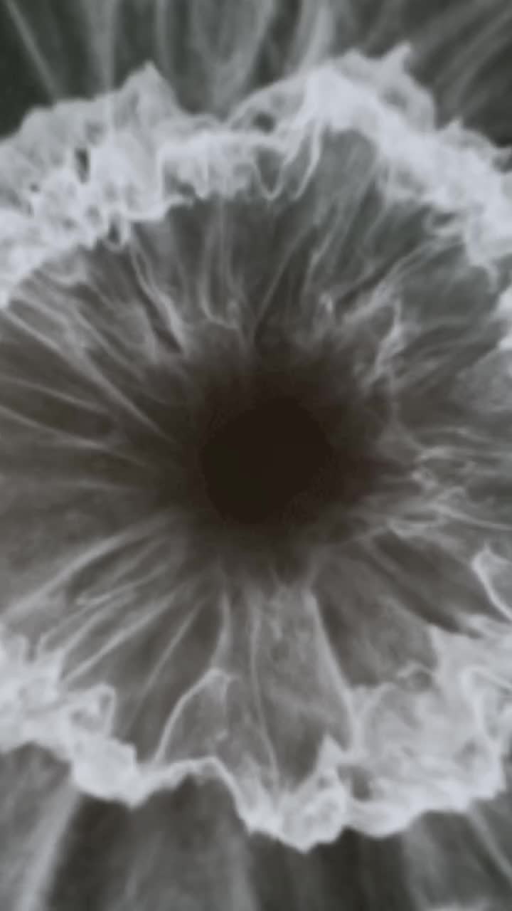 @𝔻𝕒𝕟𝕚𝕪𝕒𝕝 𝕄𝕒𝕣𝕨𝕒𝕥