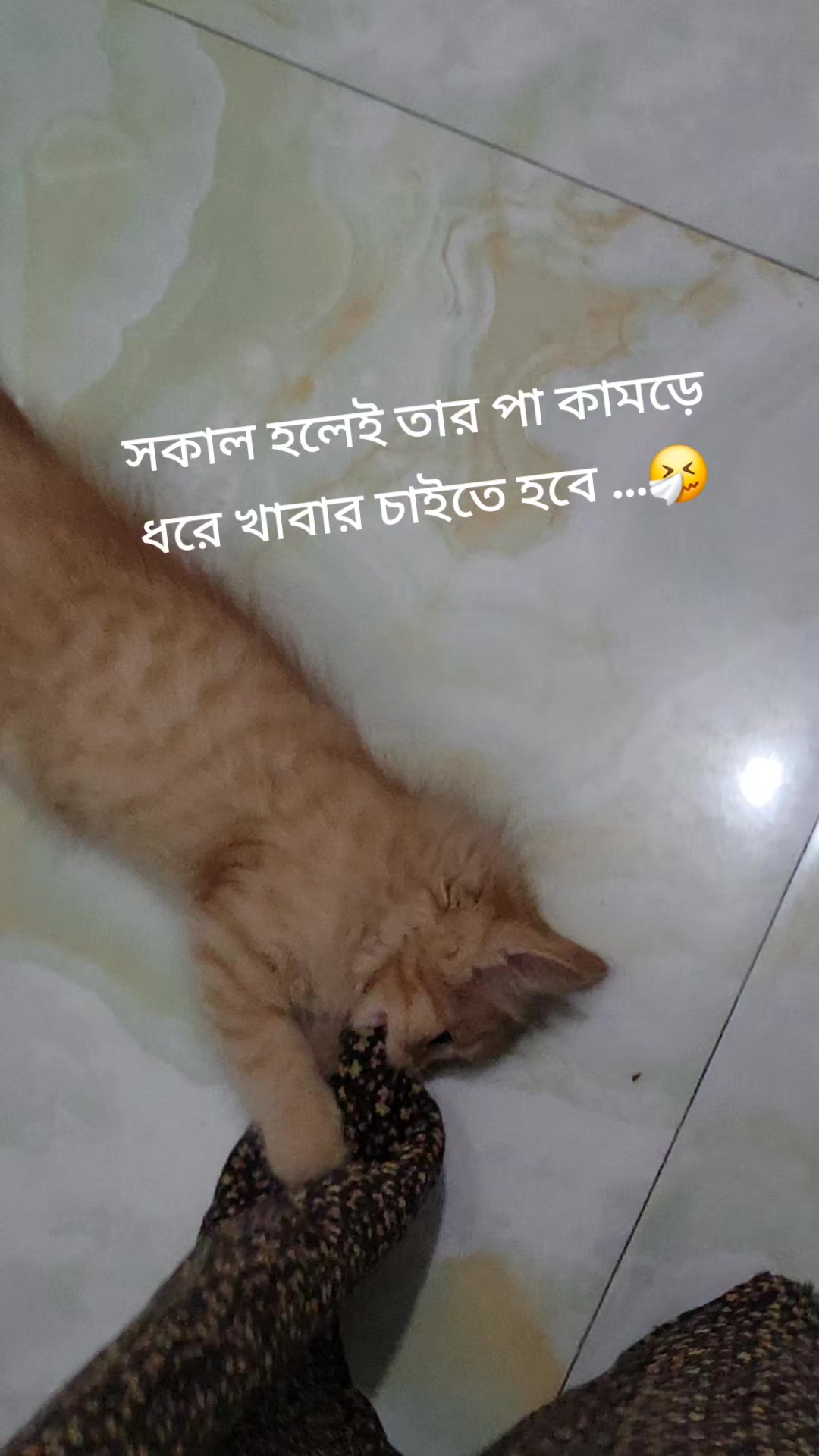 @নদী