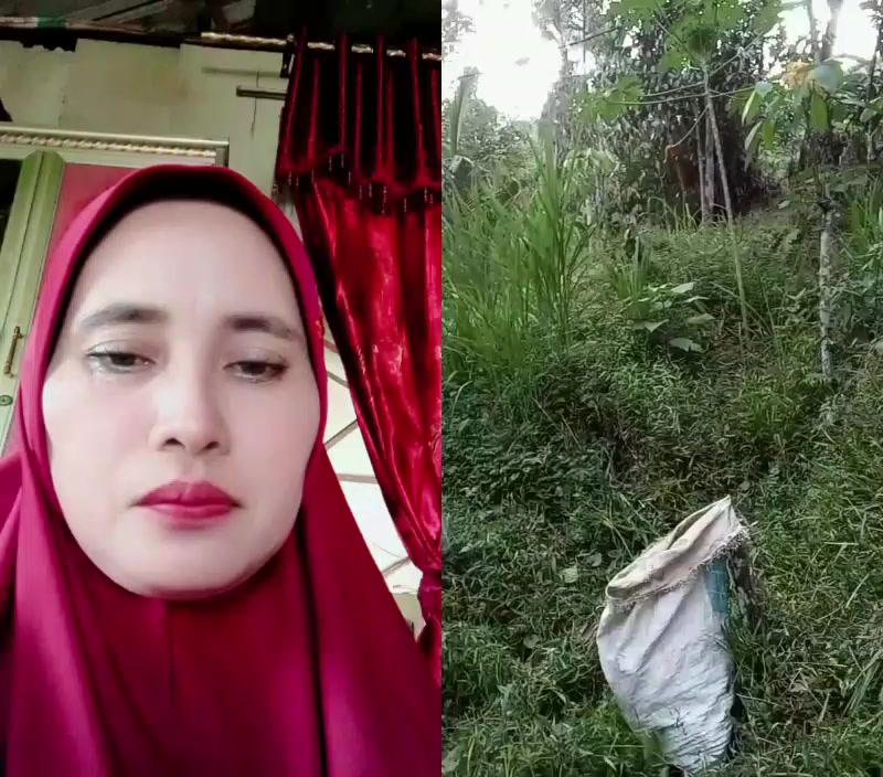 @maya