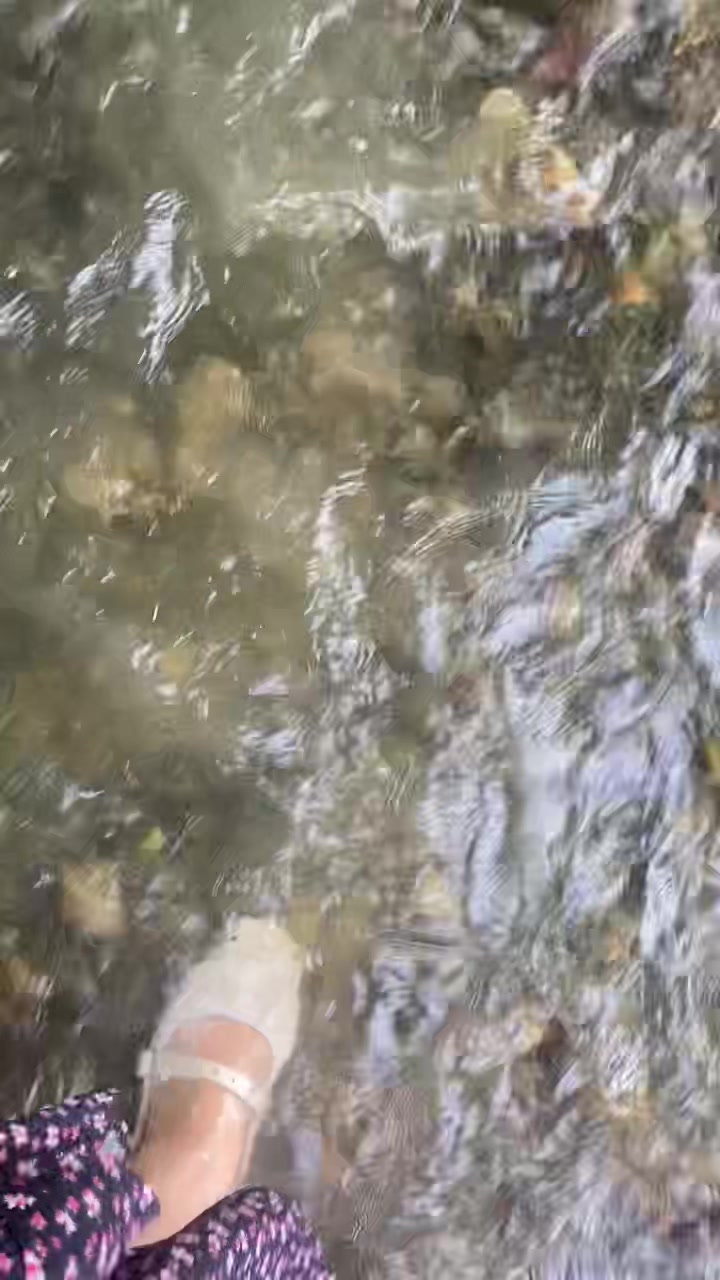 @Denizkuru2