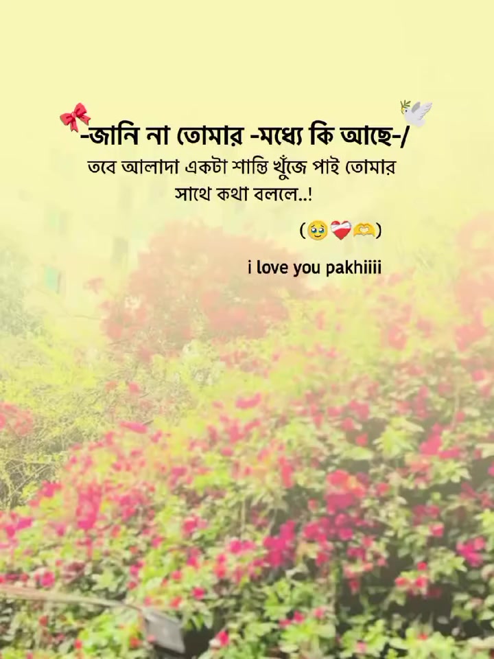 @🫀সুনামগঞ্জের ছেলে💯