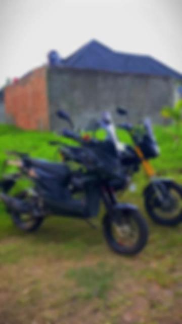 @Blue_Mamba