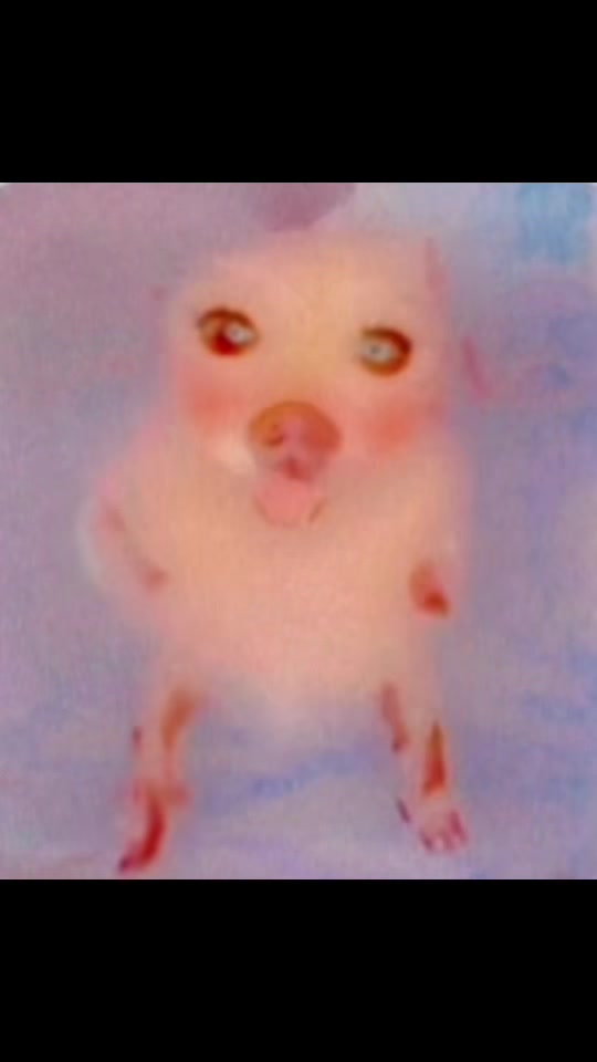 @๐ููุงุจ ุงูุดูุงุฑุน๐