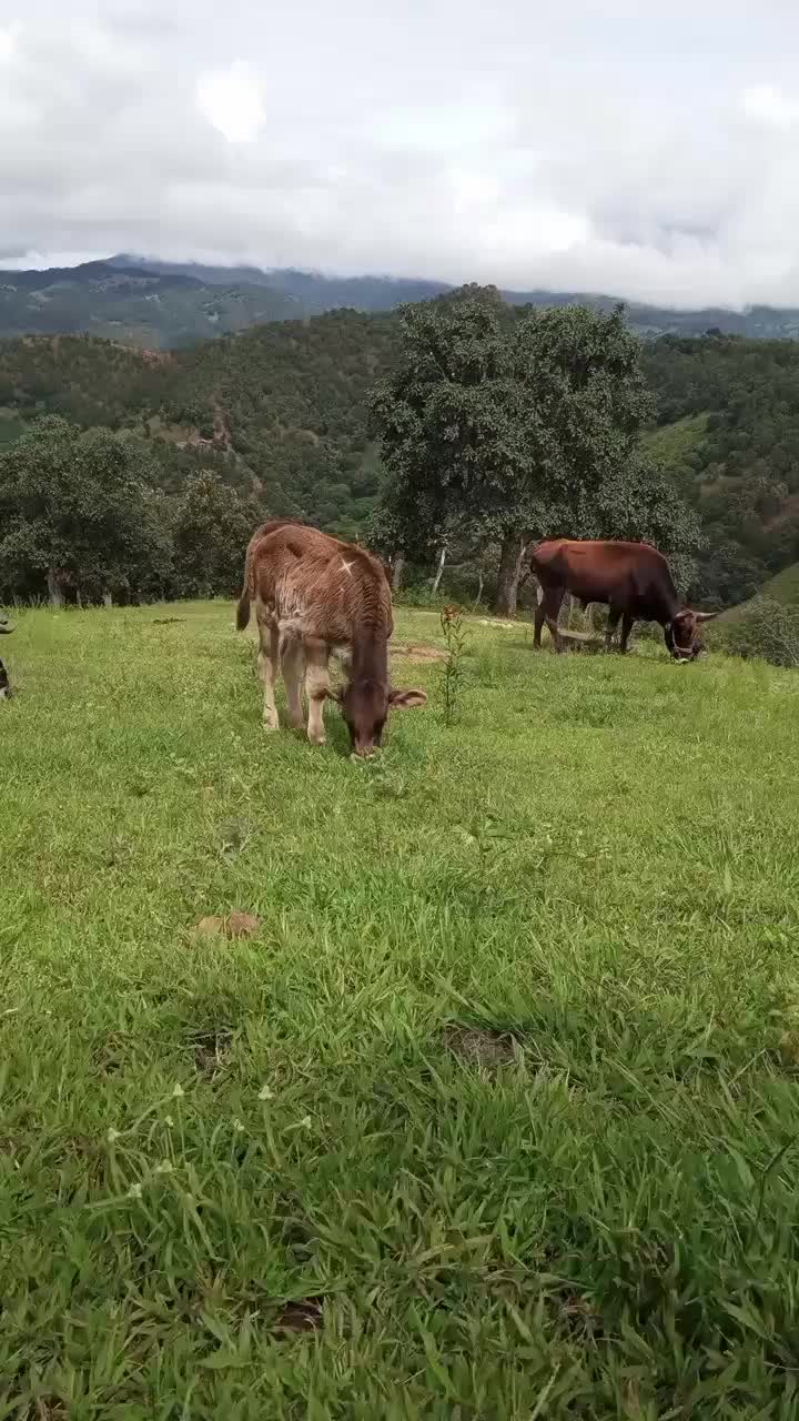 @Bibi Rojas 🍀