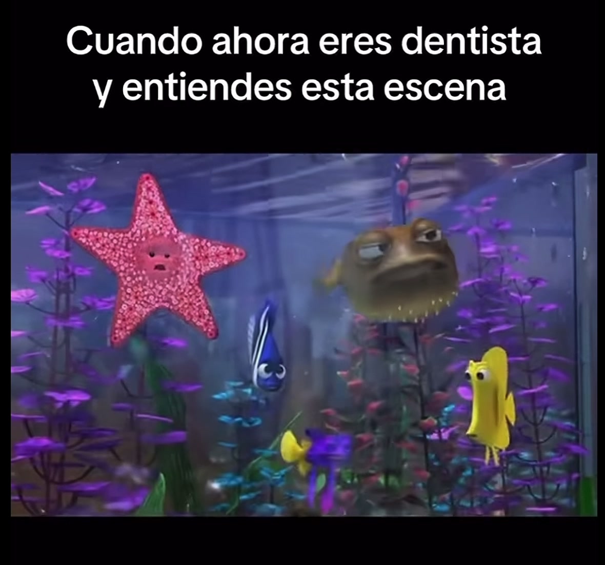 @🌊⁎⁺˳✧