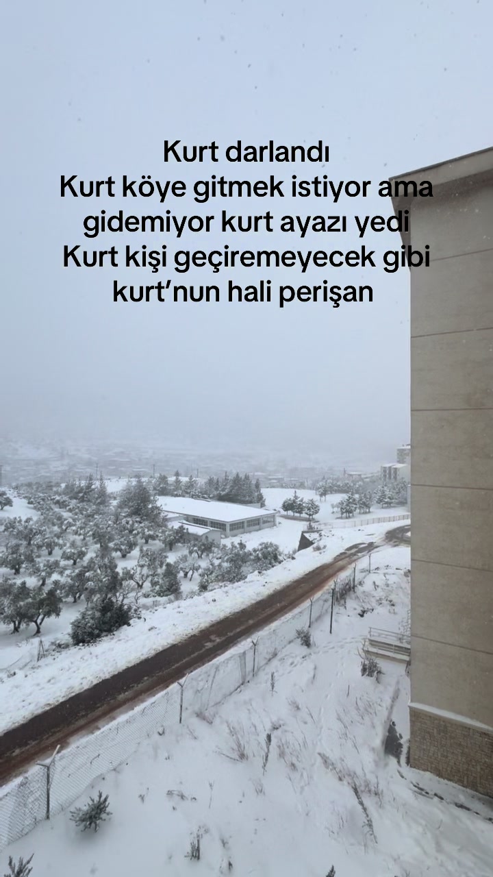 @ibrahim halil fidan