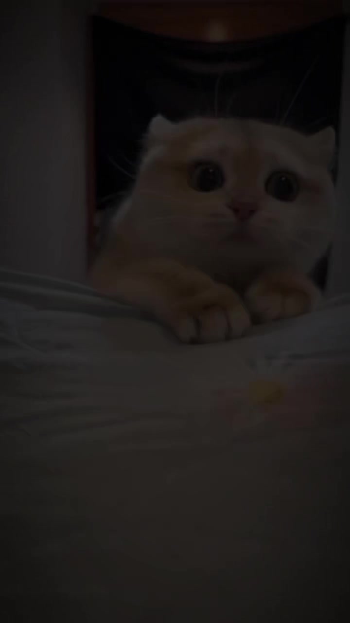 @Azaa🅰️