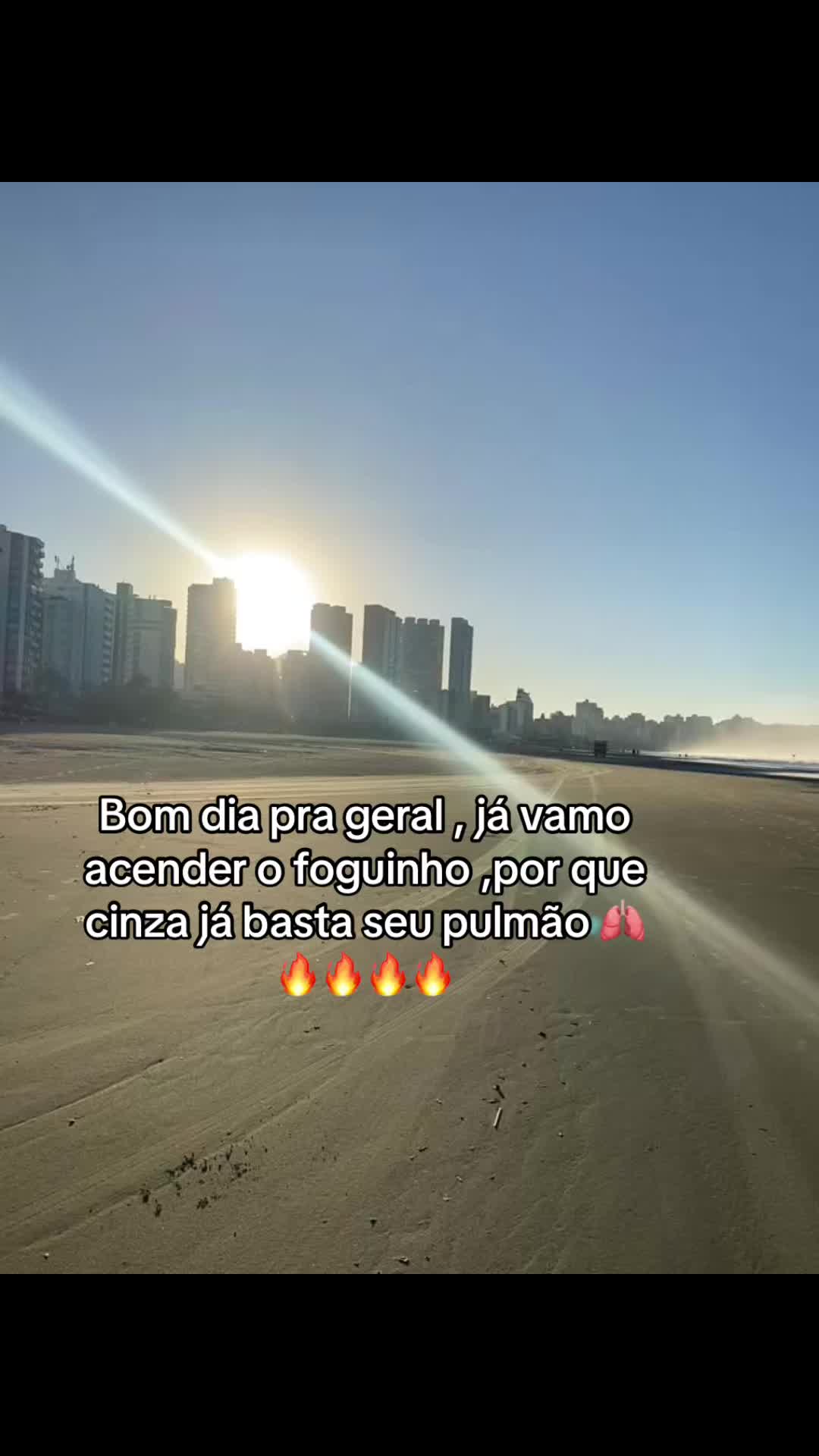 @08 BOM Y NOVO