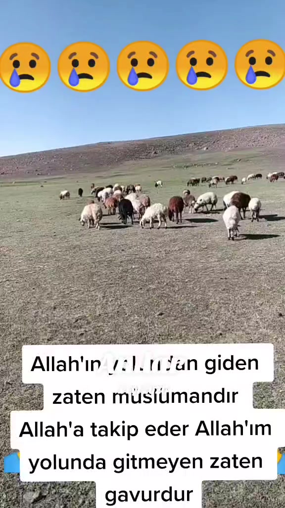 @🌹EZ🌹 BİRİNDAR 🌹