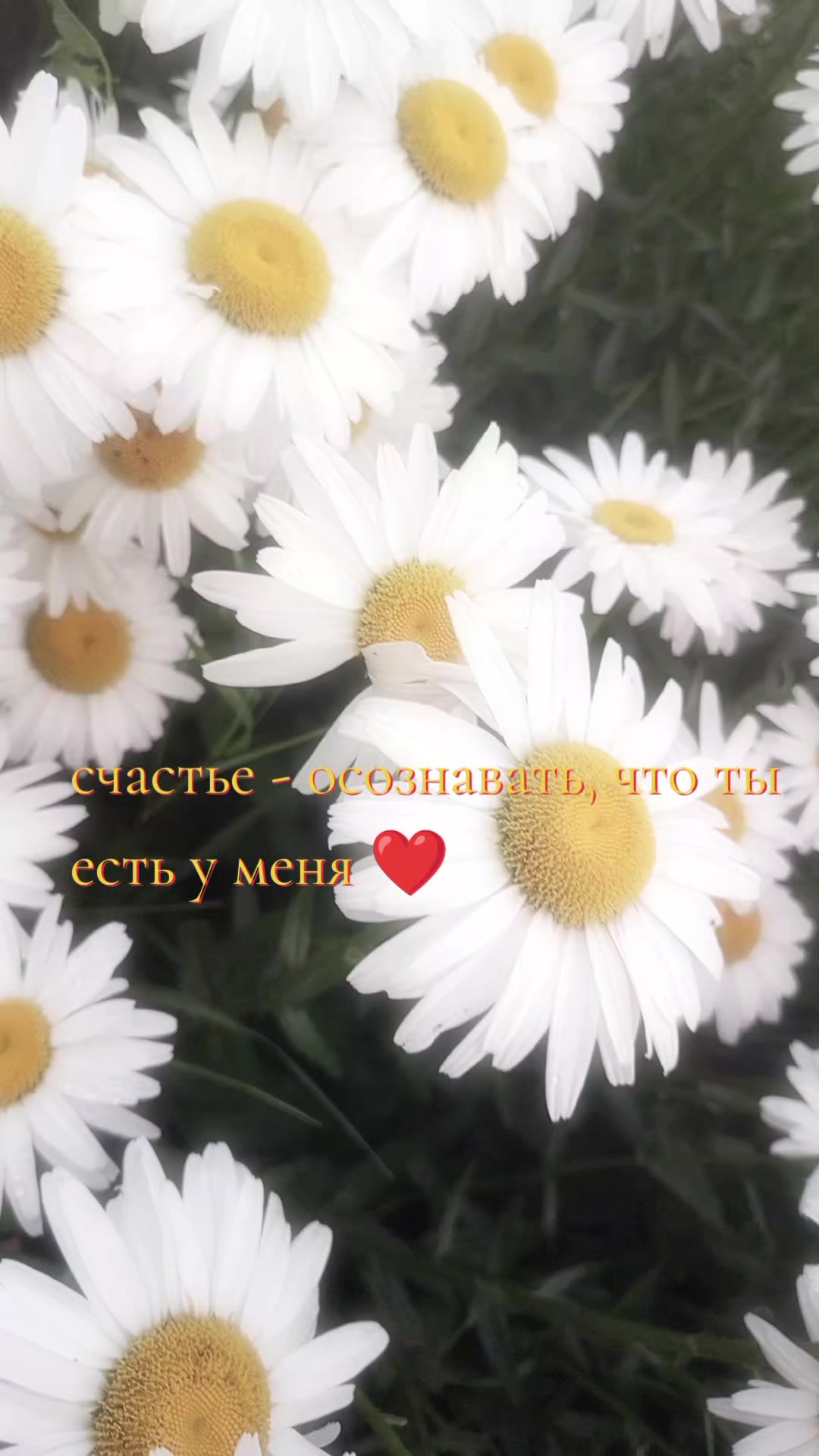 @𝔎𝔞𝔱𝔢𝔯×××@