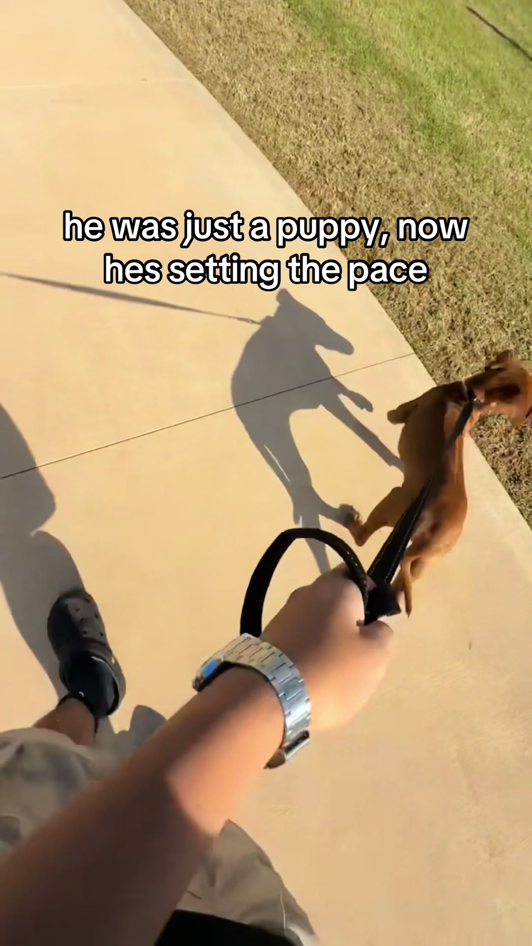@runningwithrover