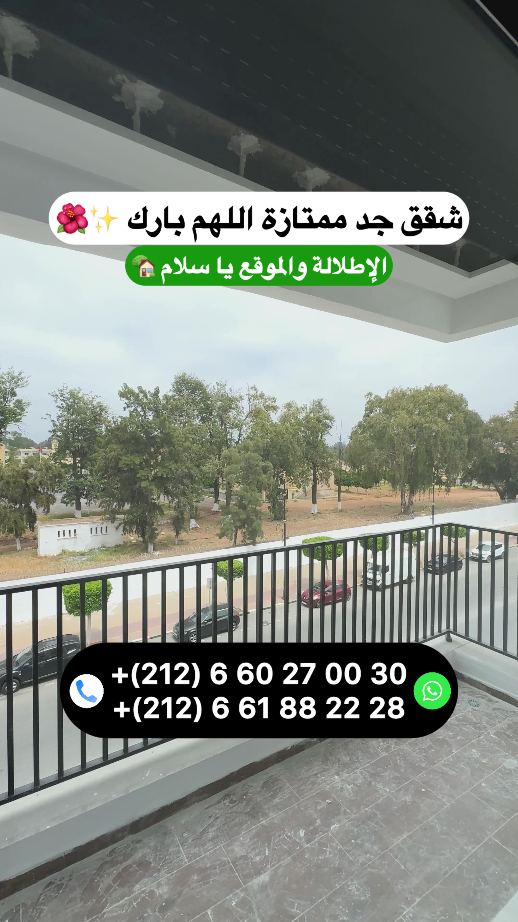@Zakaria Haddad 🇲🇦🇵🇸