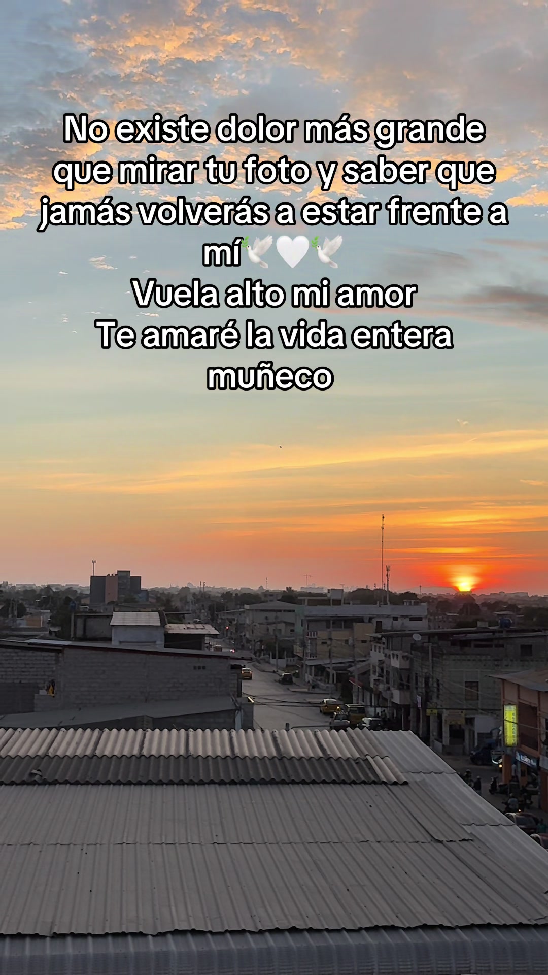 @.La_Tía_Mechis 🦒