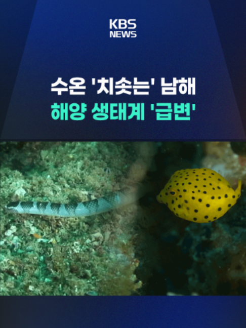 @KBSNEWS