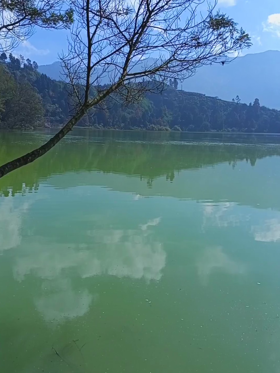@jaka swara