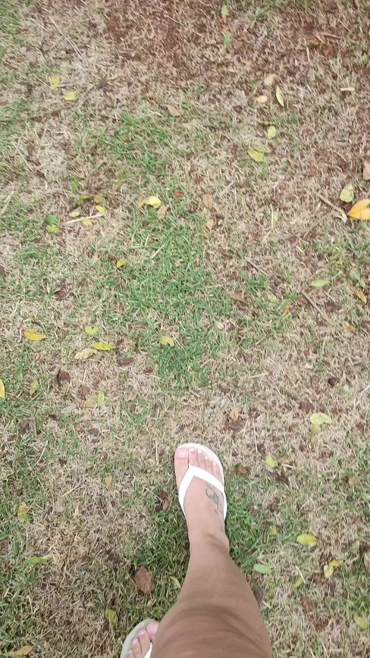 @🌹🎼D&eacute;ia Ruiva🎼✨