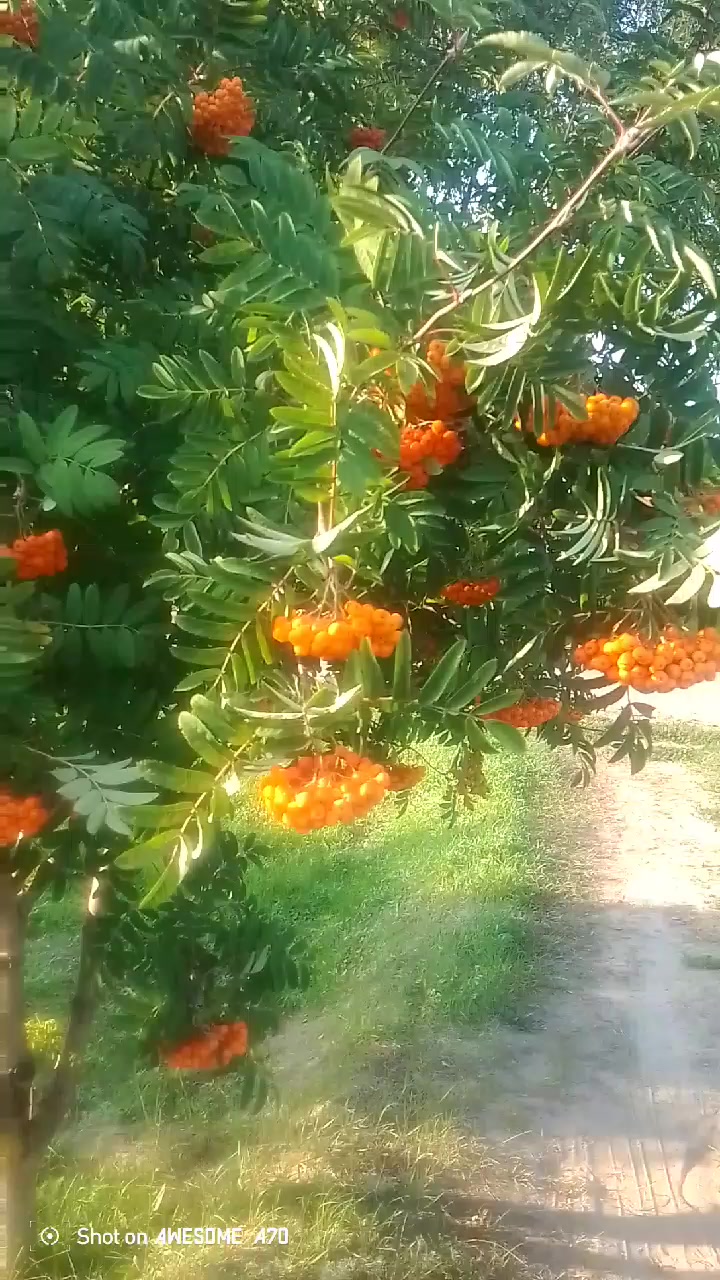 @Марина