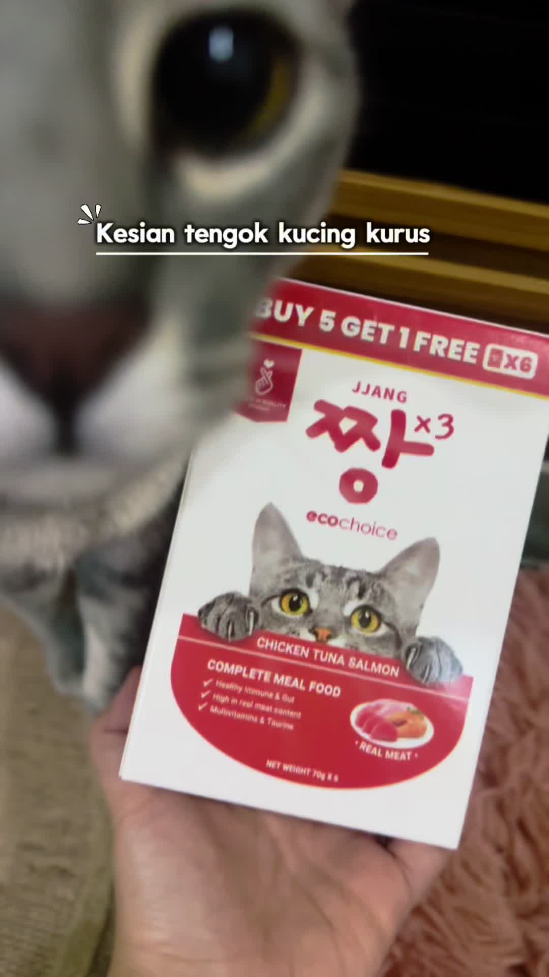 @Eibu Ainee | Cat Mom