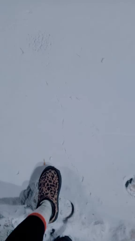 @Момо киз🐣🐣🥰