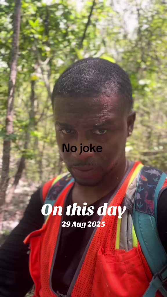 @jamaicasurveyors