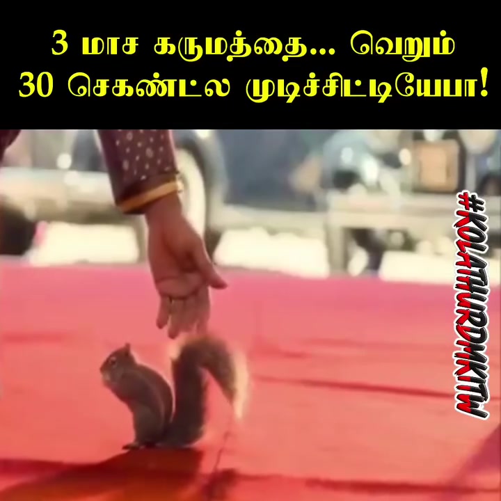 @Sakthi Eswar Rssem