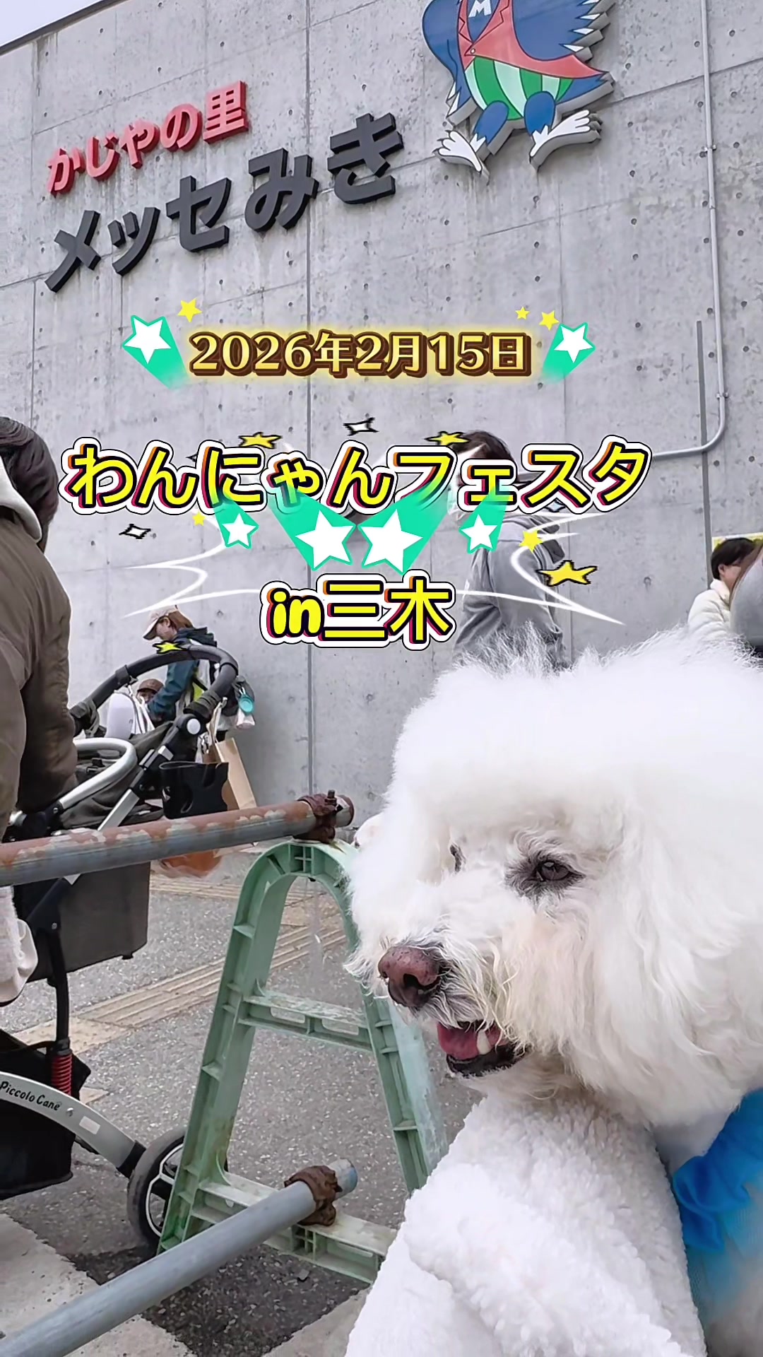 @コロン🐶