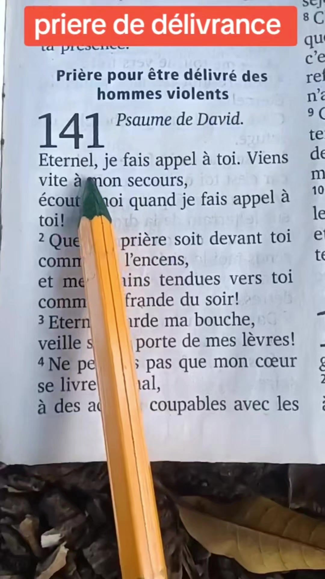 @Liline Ja Dorvil Elyse Jeudy