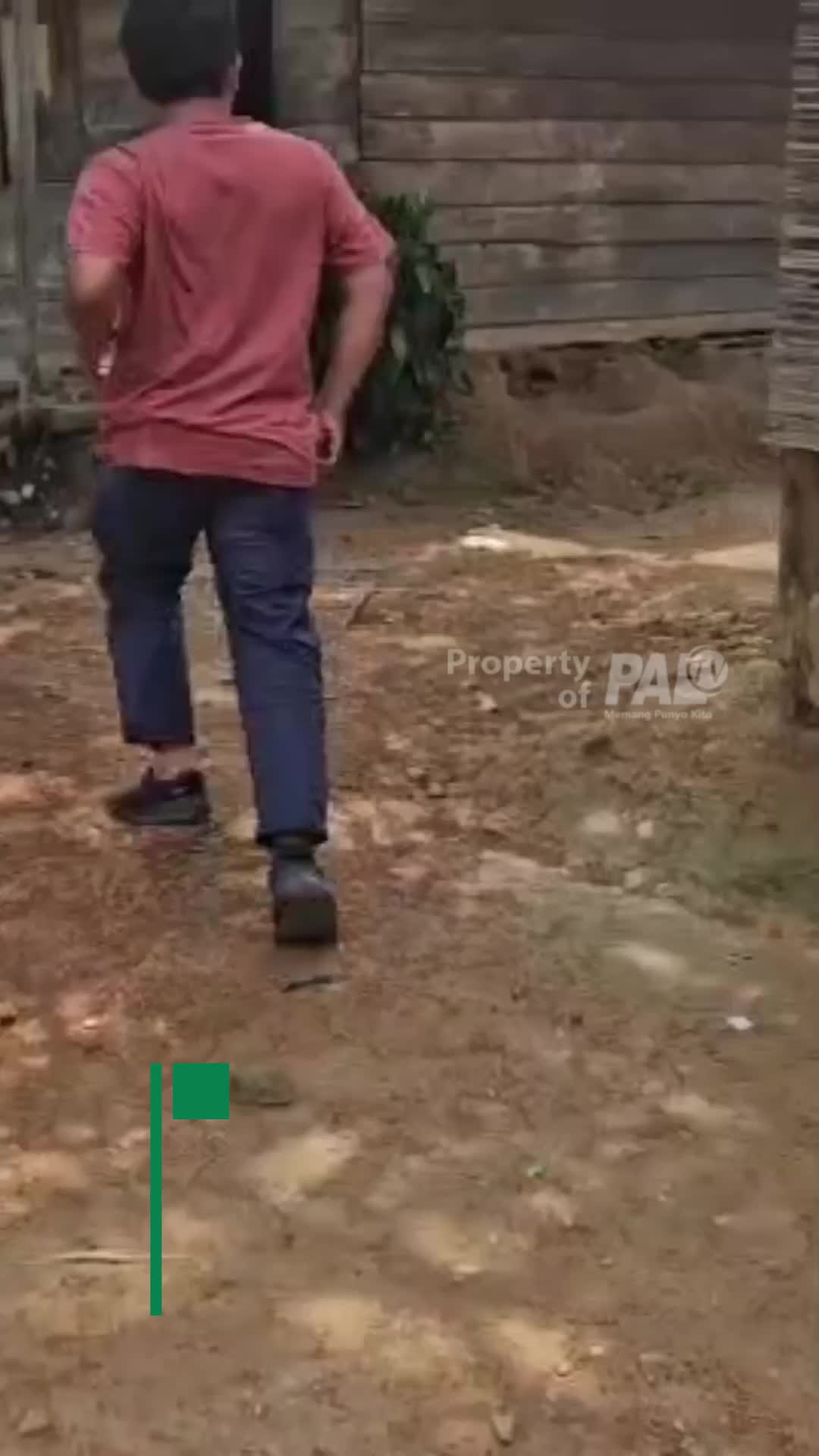 @Paltv-Memang Punyo Kito