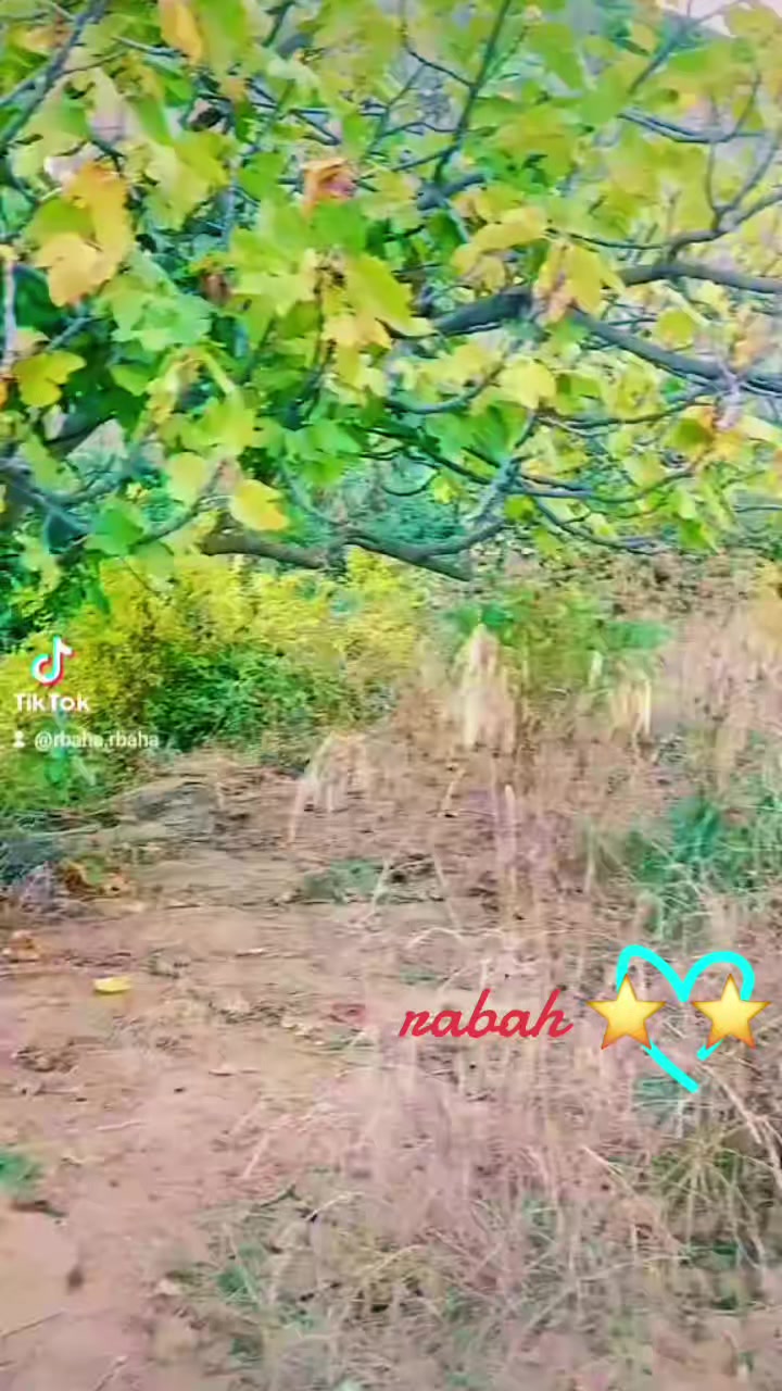 @rabah rabah