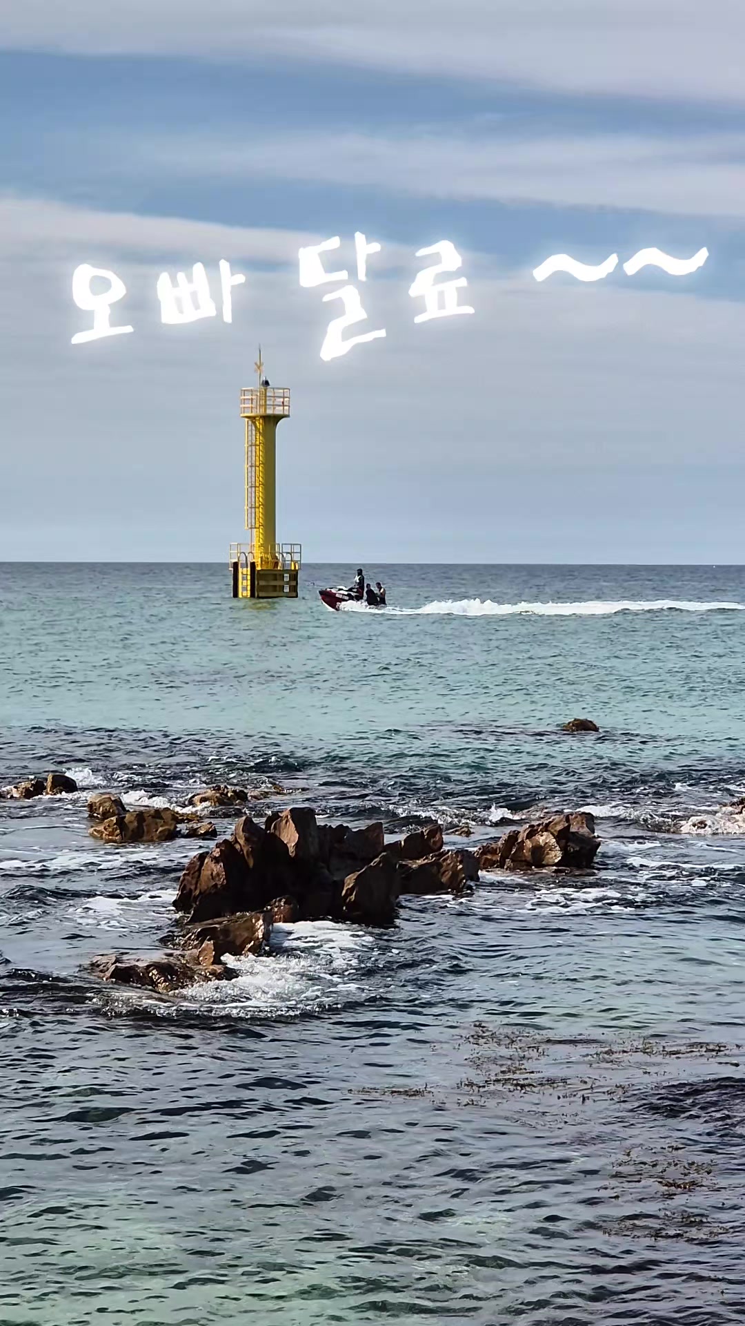 @드기아재