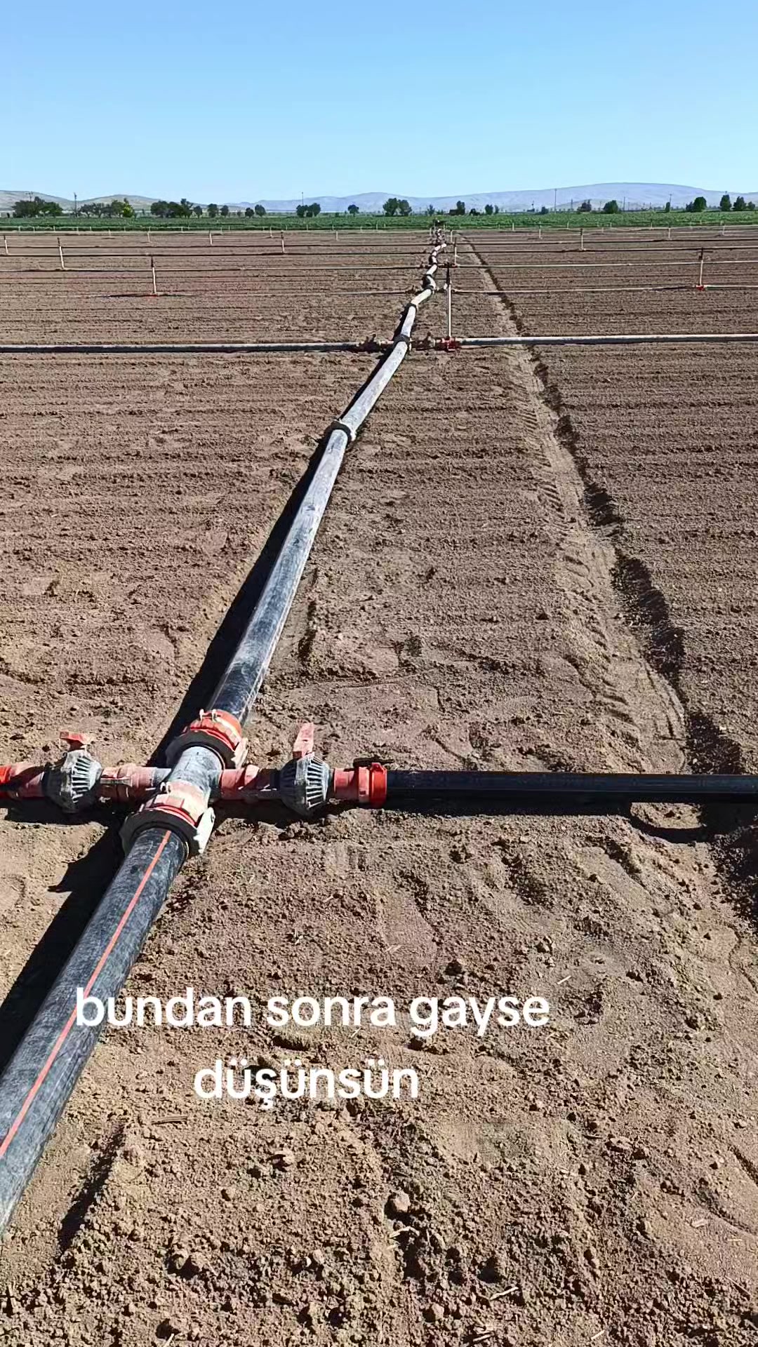 @Ömer Tok