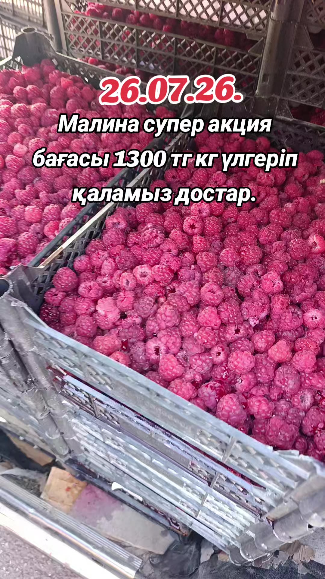 @ЭКЗОТИК ҚАРАБУЛАҚ