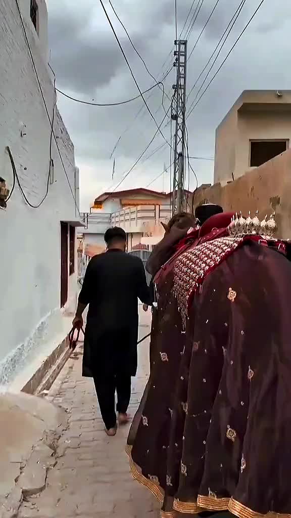 @مرکزی ذوالجناح تلہ گنگ