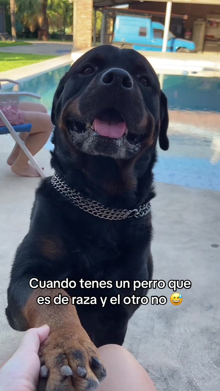 @Lourdesigz