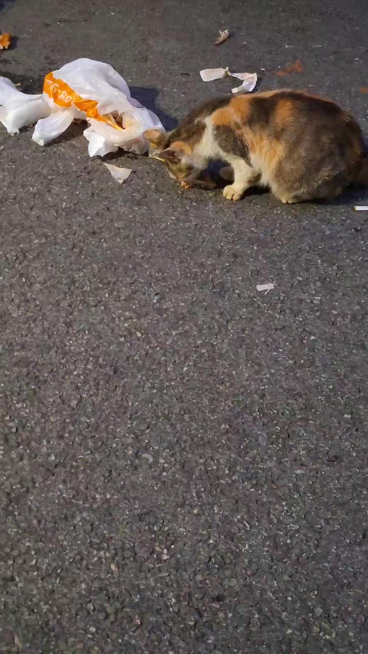 @딸기우유