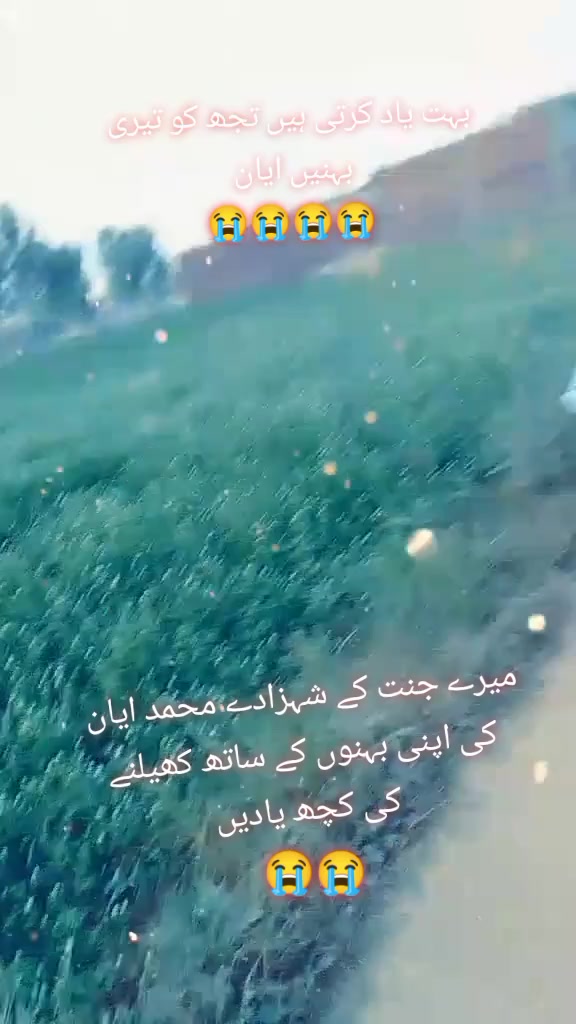 @Mohammad ayaan🌹❤️