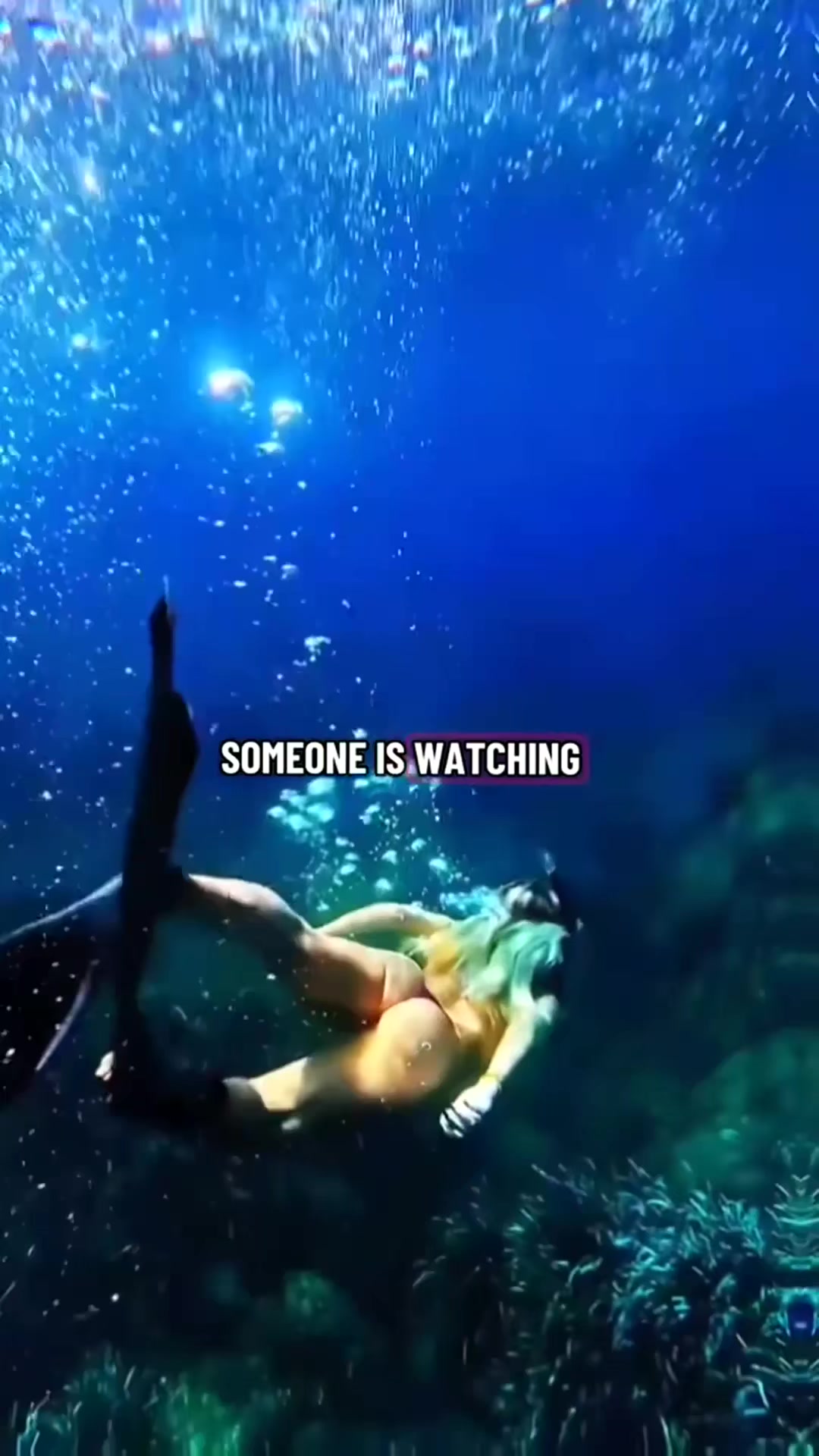 @mchnhhng590