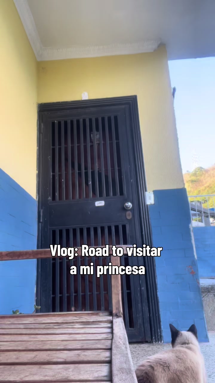 @Gabeto.🗿