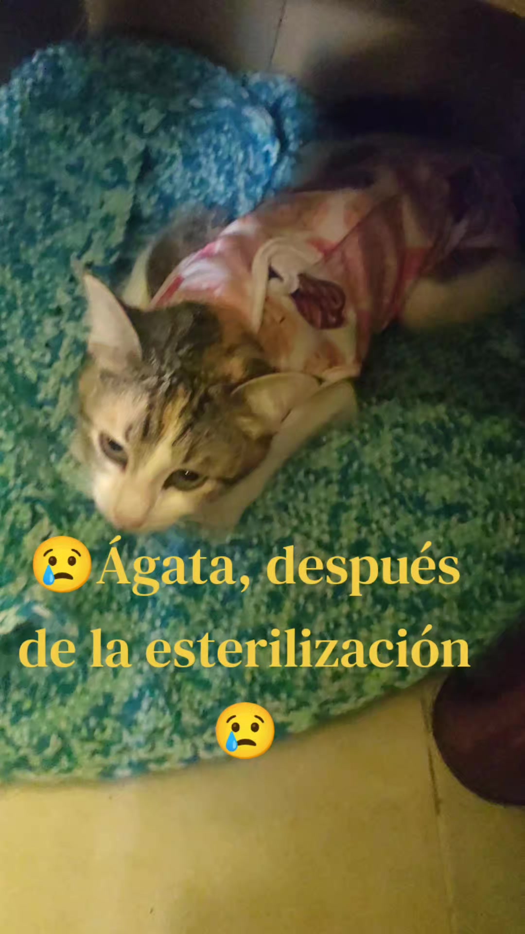 @Madame Prozac