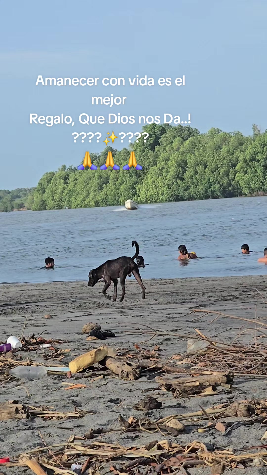 @Viviana Martinez